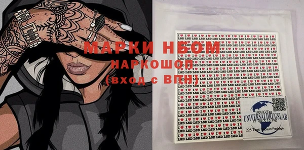 индика Богородицк
