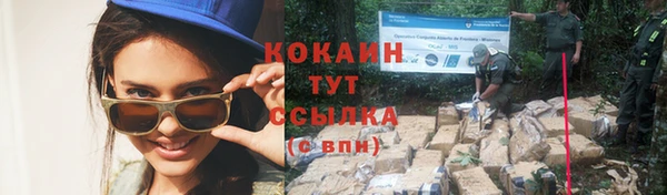 индика Богородицк