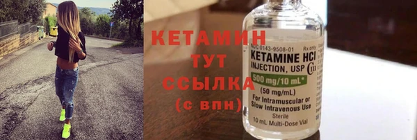 индика Богородицк