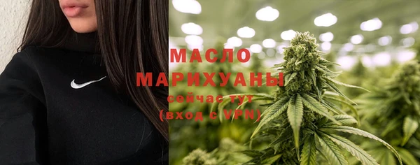 индика Богородицк