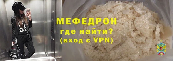 индика Богородицк