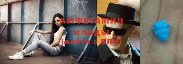 индика Богородицк