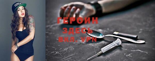 индика Богородицк