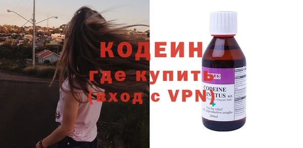 индика Богородицк