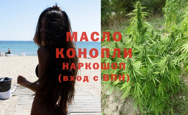 индика Богородицк