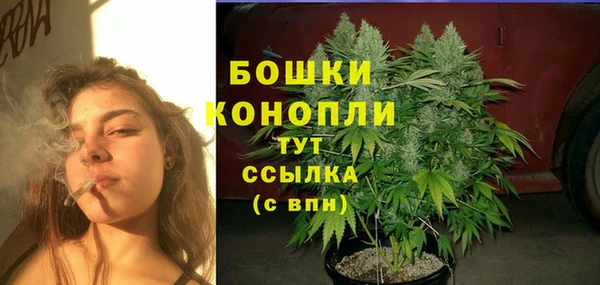 индика Богородицк