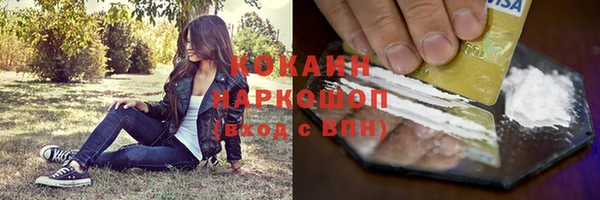индика Богородицк