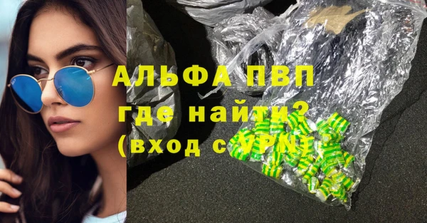 индика Богородицк