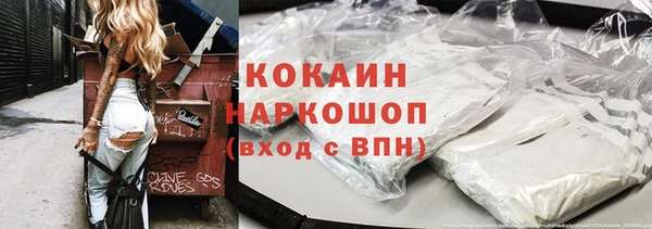 индика Богородицк