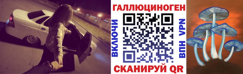 Псилоцибиновые грибы Psilocybe  blacksprut маркетплейс  Верещагино 